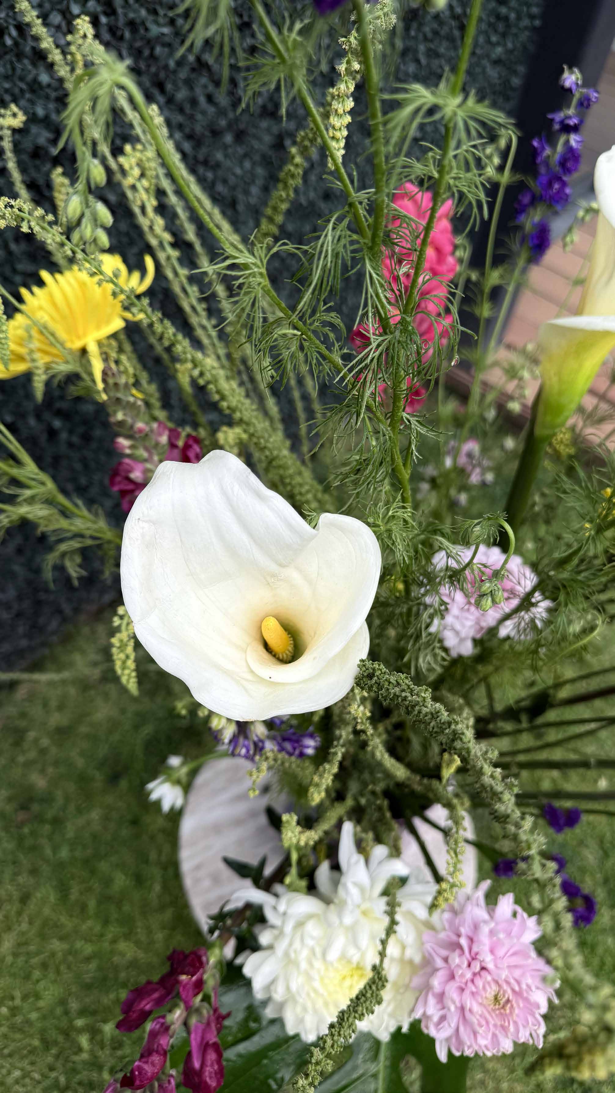 Calla lily blanca con dahlias