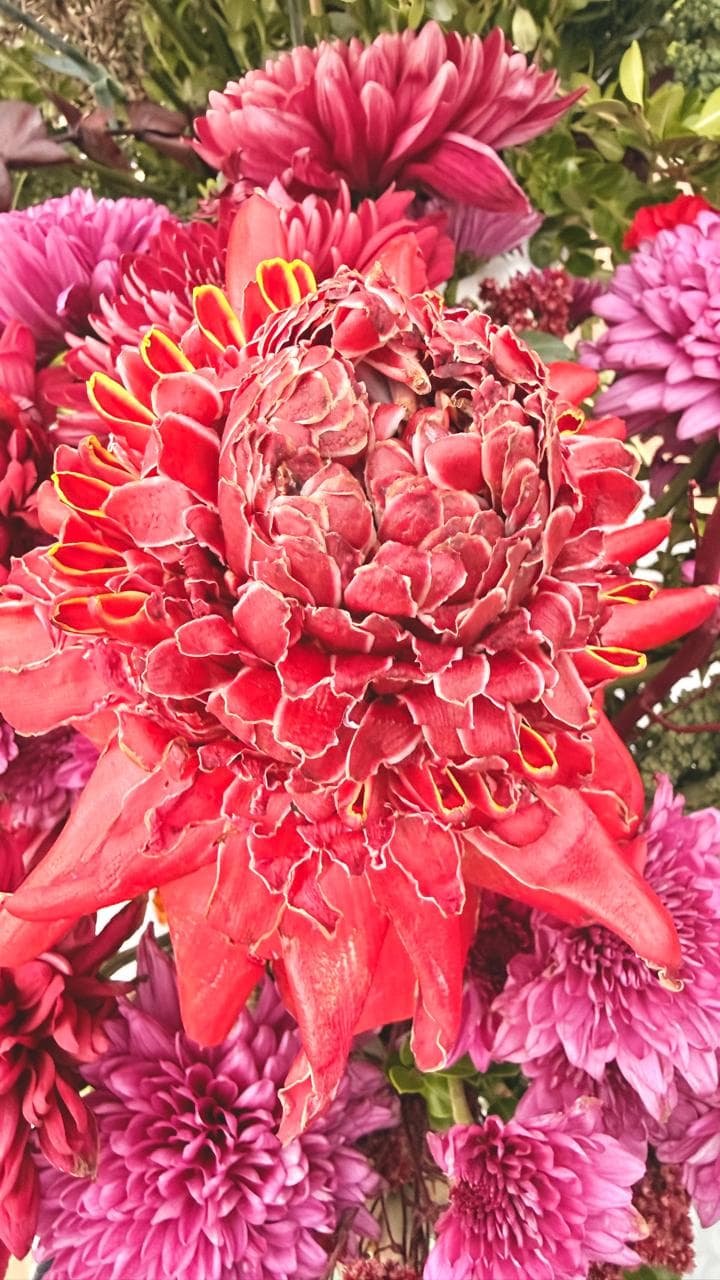 Detalle de anturio rojo